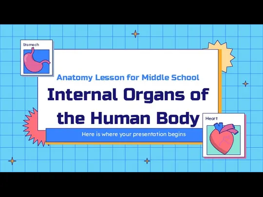 Anatomy Lesson for Middle School Internal Organs of the Human Body