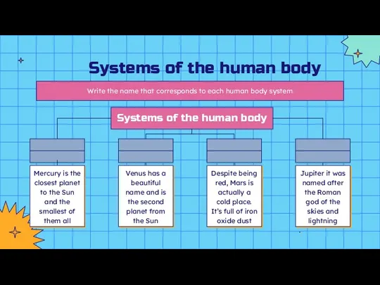 Systems of the human body Systems of the human body