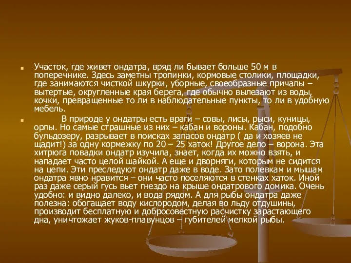 Участок, где живет ондатра, вряд ли бывает больше 50 м