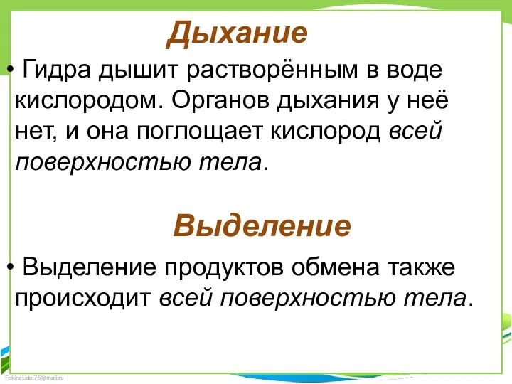 Дыхание Гидра дышит растворённым в воде кислородом. Органов дыхания у