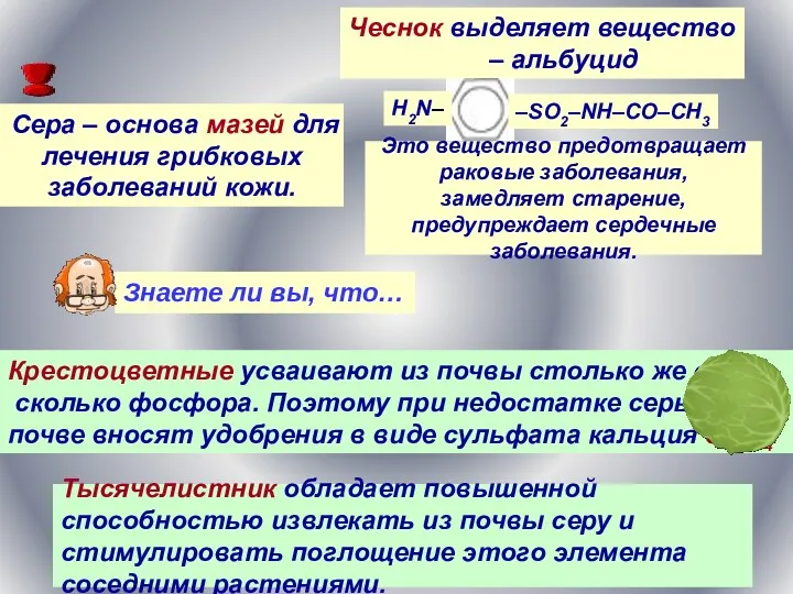 Знаете ли вы, что… Крестоцветные усваивают из почвы столько же