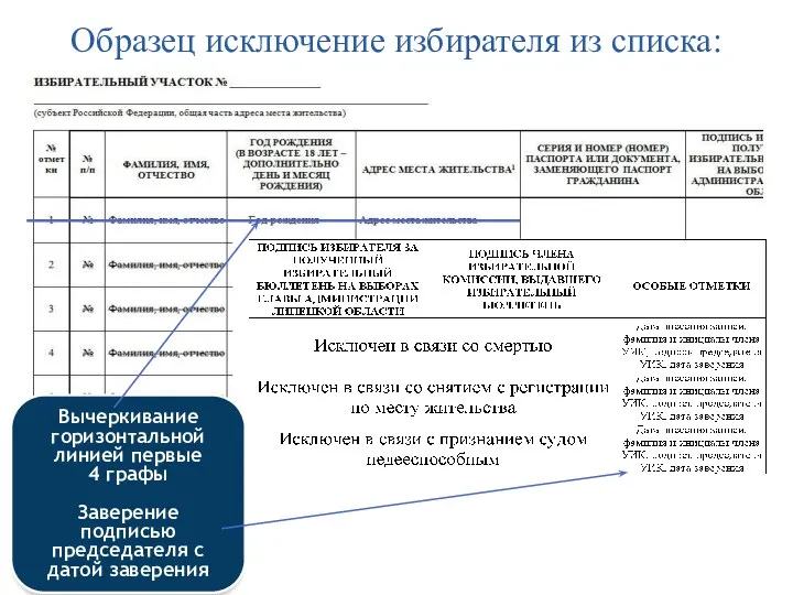 Образец исключение избирателя из списка: