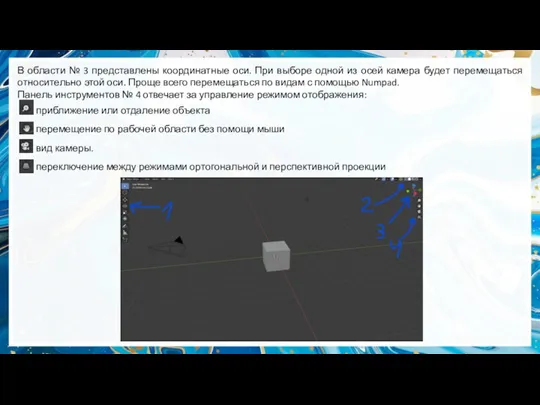 В области № 3 представлены координатные оси. При выборе одной из осей камера