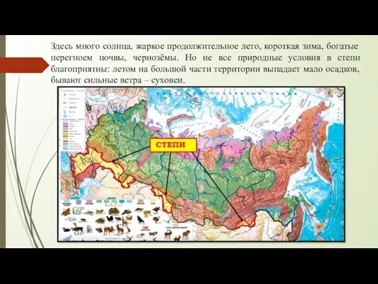 Здесь много солнца, жаркое продолжительное лето, короткая зима, богатые перегноем почвы, чернозёмы. Но