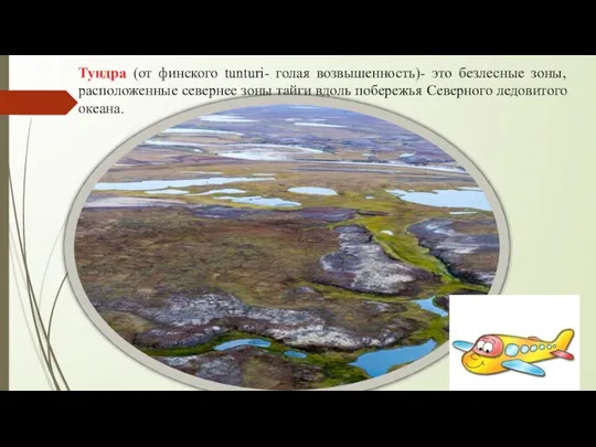 Тундра (от финского tunturi- голая возвышенность)- это безлесные зоны, расположенные севернее зоны тайги