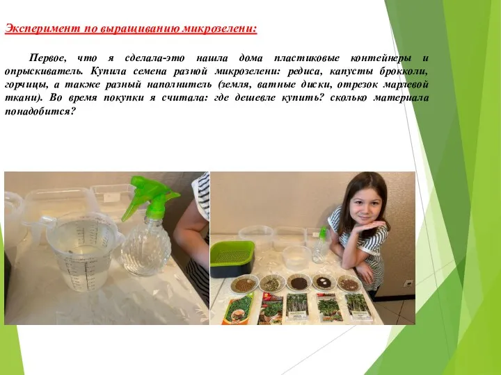 Эксперимент по выращиванию микрозелени: Первое, что я сделала-это нашла дома