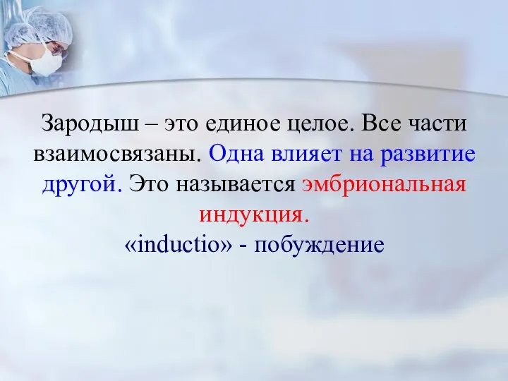 Зародыш – это единое целое. Все части взаимосвязаны. Одна влияет на развитие другой.