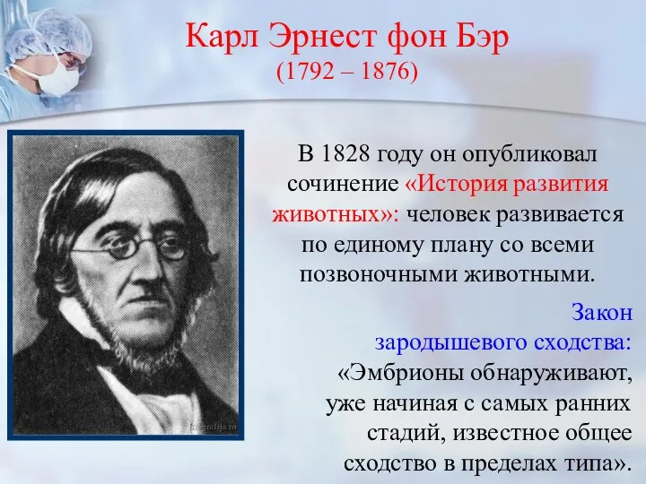 Карл Эрнест фон Бэр (1792 – 1876) В 1828 году он опубликовал сочинение