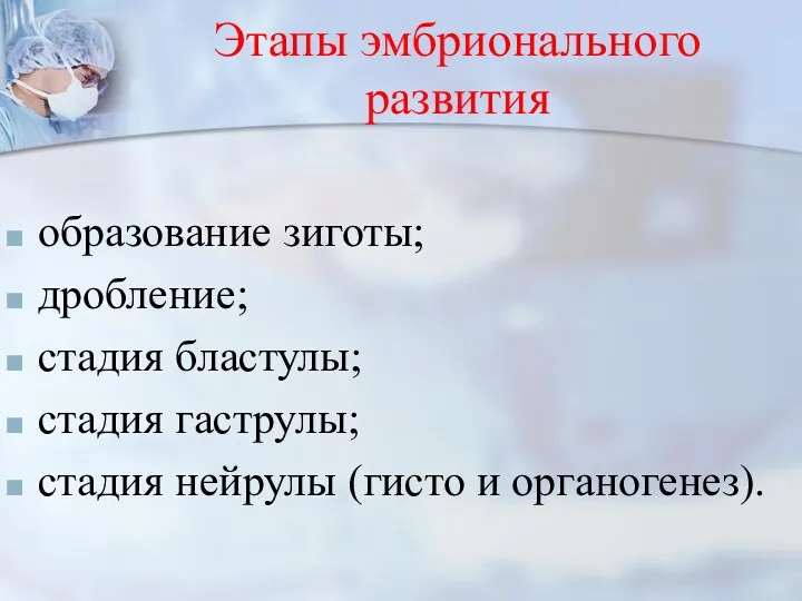 Этапы эмбрионального развития образование зиготы; дробление; стадия бластулы; стадия гаструлы; стадия нейрулы (гисто и органогенез).