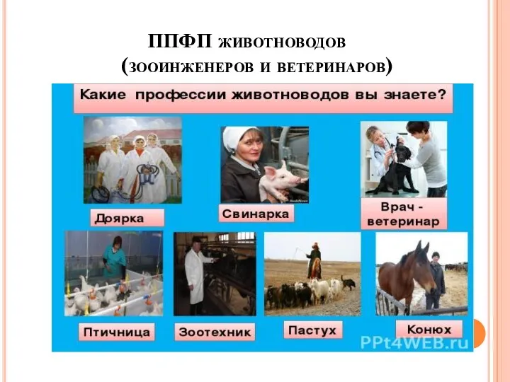 ППФП животноводов (зооинженеров и ветеринаров)