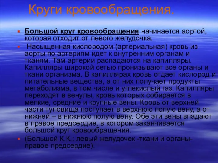 Круги кровообращения. Большой круг кровообращения начинается аортой, которая отходит от