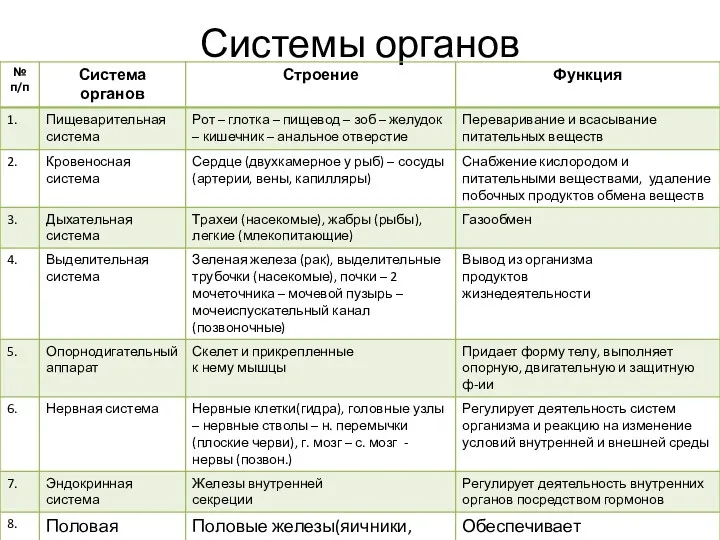 Системы органов