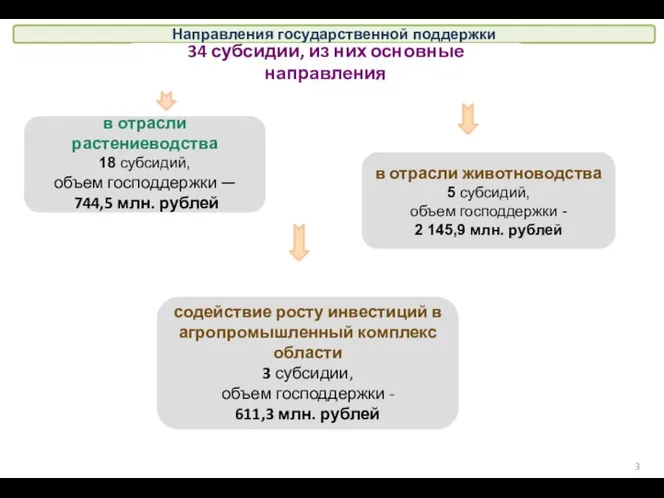 Направления государственной поддержки 34 субсидии, из них основные направления в