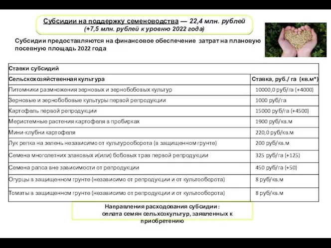 Субсидии на поддержку семеноводства — 22,4 млн. рублей (+7,5 млн.