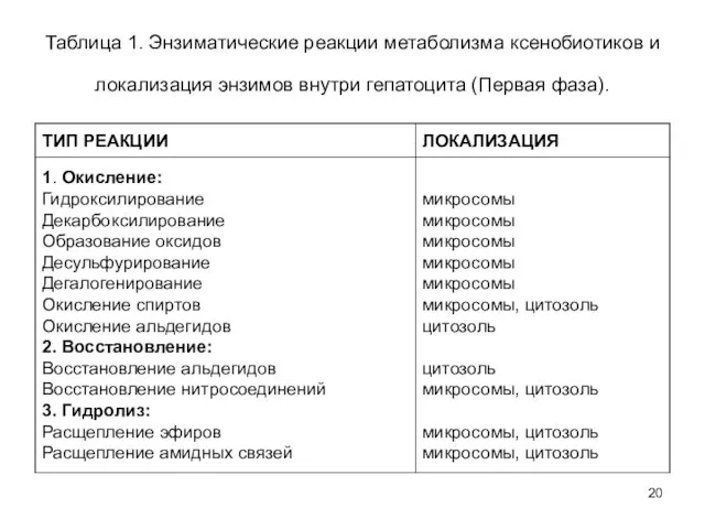 Таблица 1. Энзиматические реакции метаболизма ксенобиотиков и локализация энзимов внутри гепатоцита (Первая фаза).