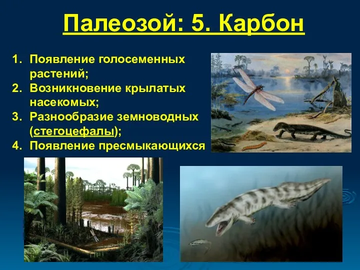 Палеозой: 5. Карбон Появление голосеменных растений; Возникновение крылатых насекомых; Разнообразие земноводных (стегоцефалы); Появление пресмыкающихся