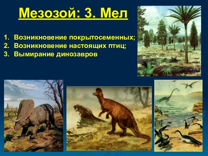 Мезозой: 3. Мел Возникновение покрытосеменных; Возникновение настоящих птиц; Вымирание динозавров