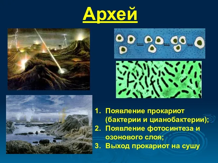 Архей Появление прокариот (бактерии и цианобактерии); Появление фотосинтеза и озонового слоя; Выход прокариот на сушу