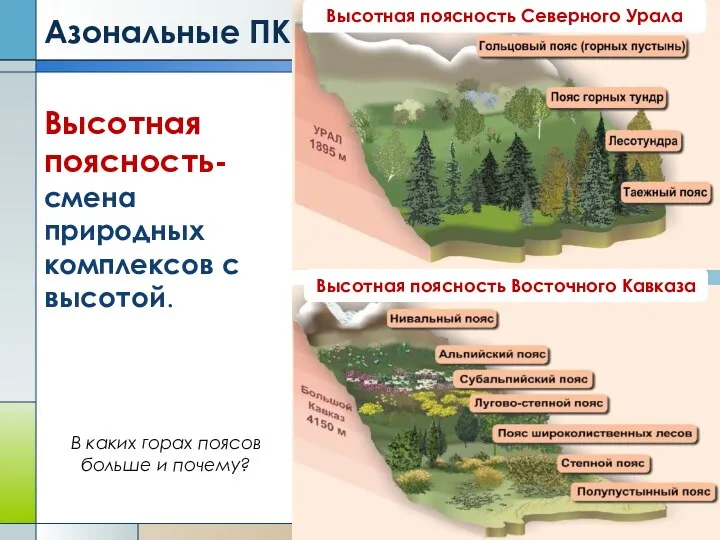 Высотная поясность- смена природных комплексов с высотой. Высотная поясность Северного