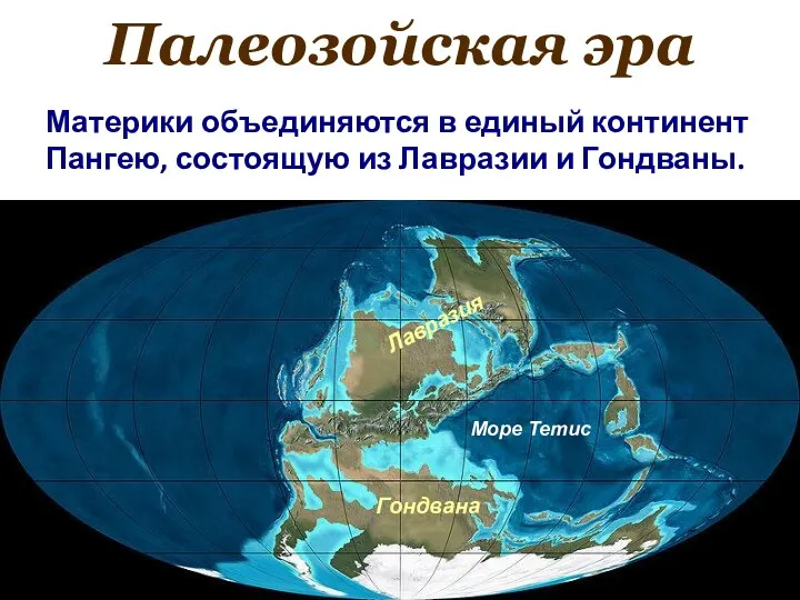 Палеозойская эра Материки объединяются в единый континент Пангею, состоящую из