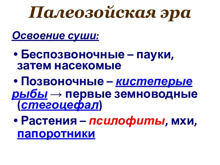 Палеозойская эра Освоение суши: Беспозвоночные – пауки, затем насекомые Позвоночные