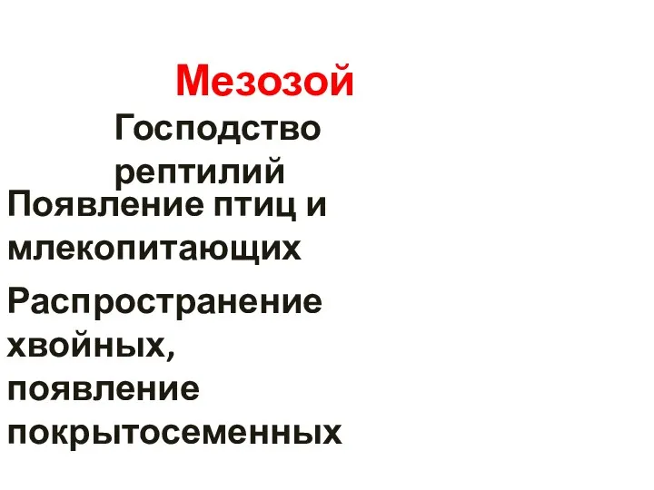 Господство рептилий Мезозой Появление птиц и млекопитающих Распространение хвойных, появление покрытосеменных