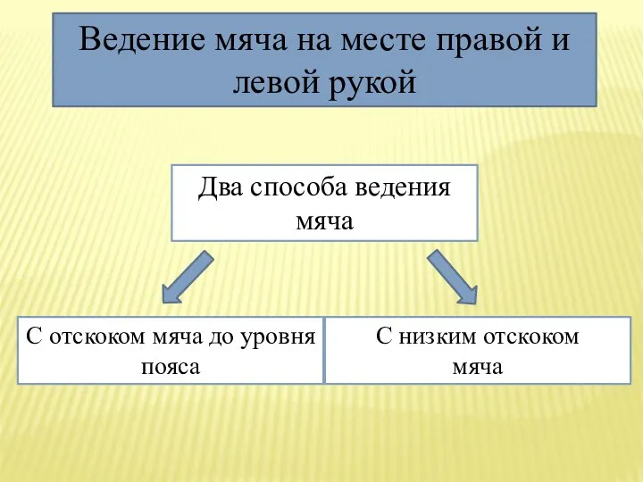 Ведение мяча на месте правой и левой рукой Два способа