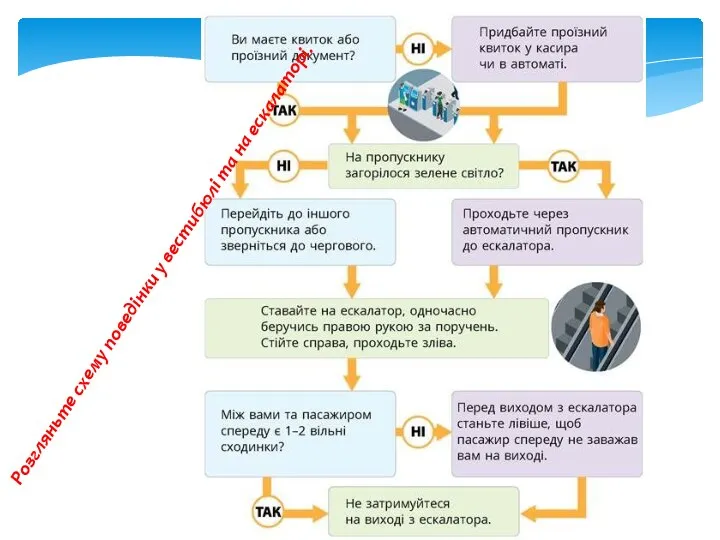 Розгляньте схему поведінки у вестибюлі та на ескалаторі.