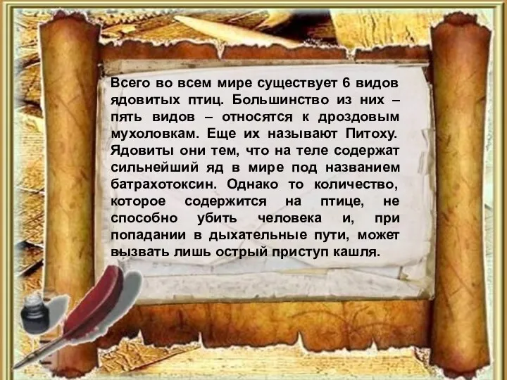 Всего во всем мире существует 6 видов ядовитых птиц. Большинство