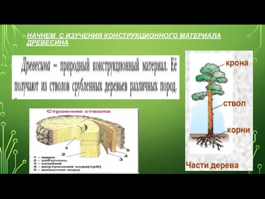 НАЧНЕМ С ИЗУЧЕНИЯ КОНСТРУКЦИОННОГО МАТЕРИАЛА ДРЕВЕСИНА