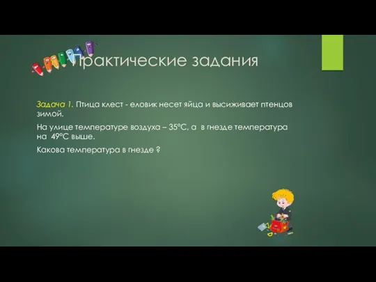 Задача 1. Птица клест - еловик несет яйца и высиживает