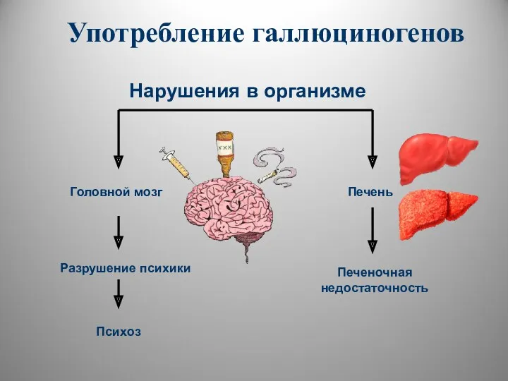 Употребление галлюциногенов Головной мозг Психоз Печень Печеночная недостаточность Разрушение психики Нарушения в организме