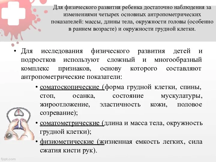 Для физического развития ребенка достаточно наблюдения за изменениями четырех основных