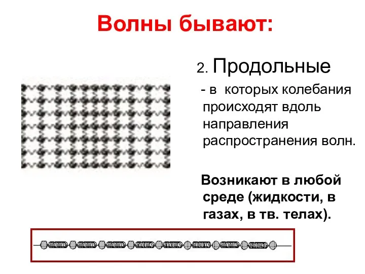 Волны бывают: 2. Продольные - в которых колебания происходят вдоль