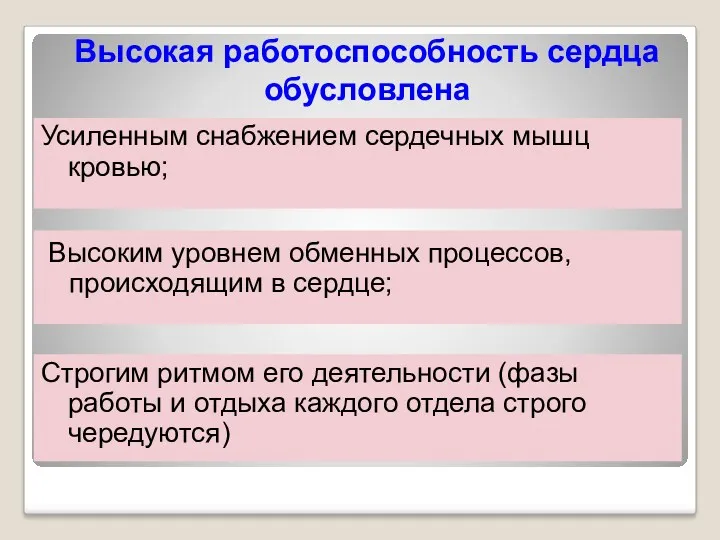 Высокая работоспособность сердца обусловлена Высоким уровнем обменных процессов, происходящим в