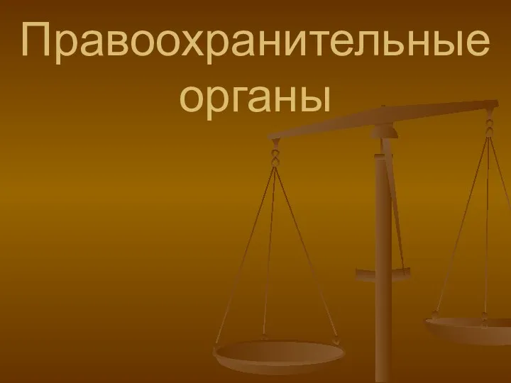 Правоохранительные органы