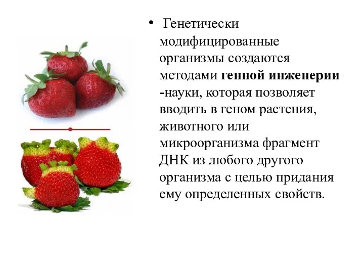 Генетически модифицированные организмы создаются методами генной инженерии -науки, которая позволяет