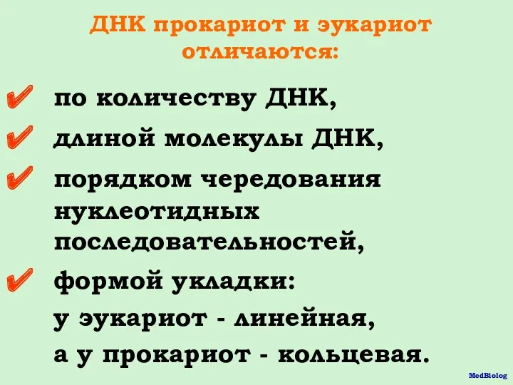 ДНК прокариот и эукариот отличаются: по количеству ДНК, длиной молекулы