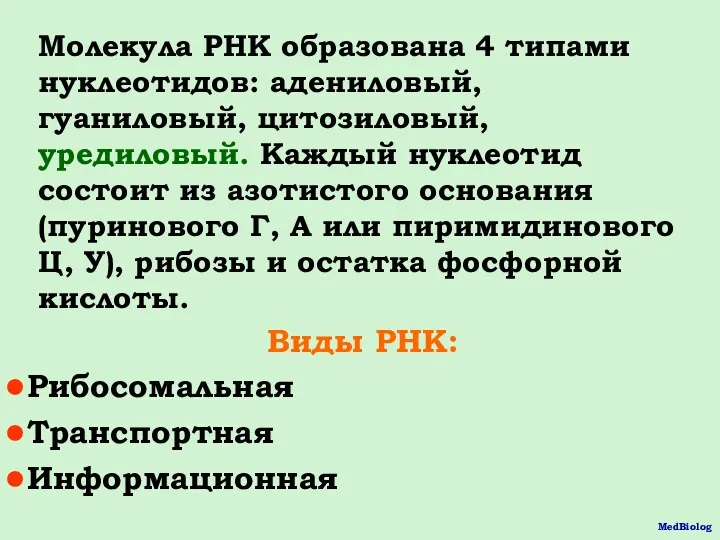 Молекула РНК образована 4 типами нуклеотидов: адениловый, гуаниловый, цитозиловый, уредиловый.