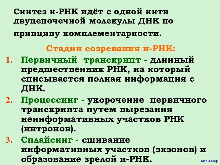 Синтез и-РНК идёт с одной нити двуцепочечной молекулы ДНК по