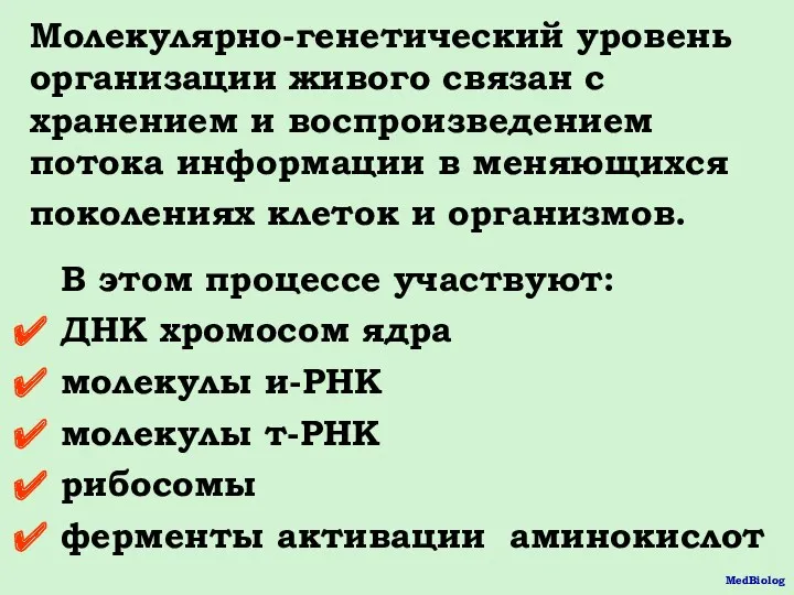 В этом процессе участвуют: ДНК хромосом ядра молекулы и-РНК молекулы