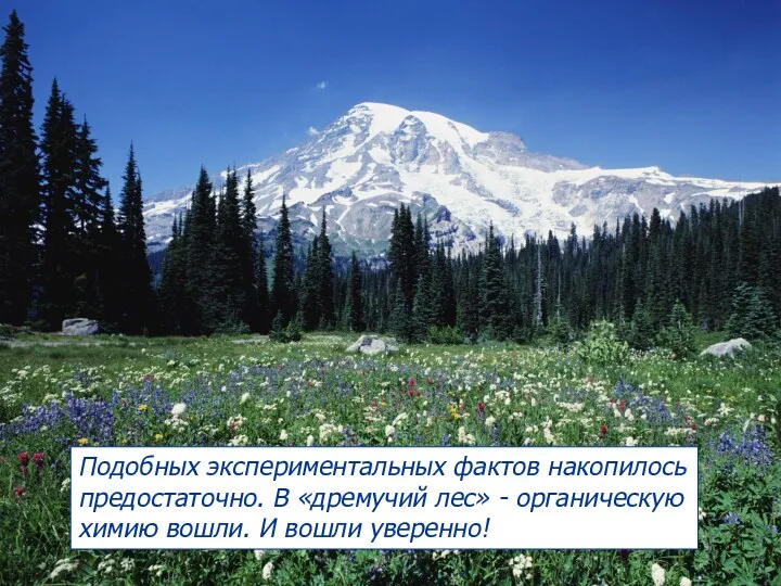 Подобных экспериментальных фактов накопилось предостаточно. В «дремучий лес» - органическую химию вошли. И вошли уверенно!