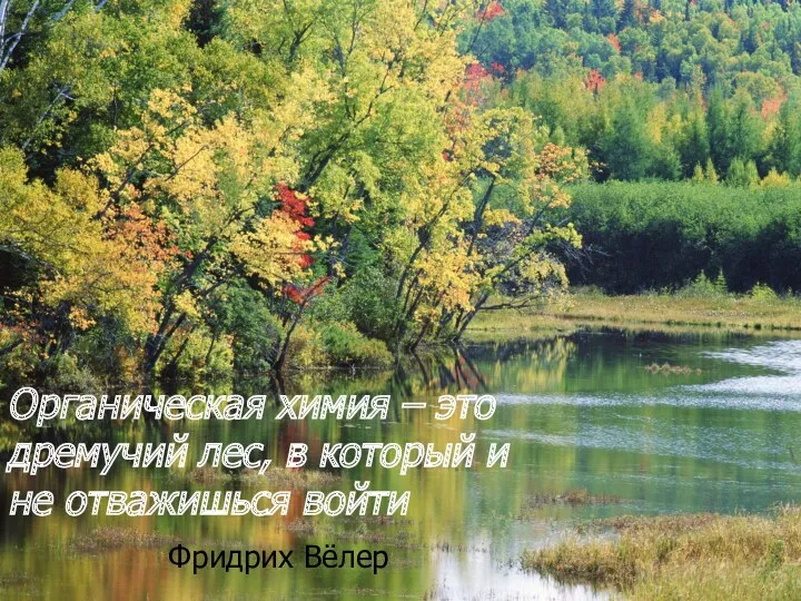 Органическая химия – это дремучий лес, в который и не отважишься войти Фридрих Вёлер