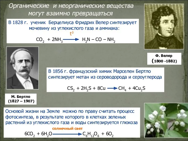 Органические и неорганические вещества могут взаимно превращаться В 1828 г.