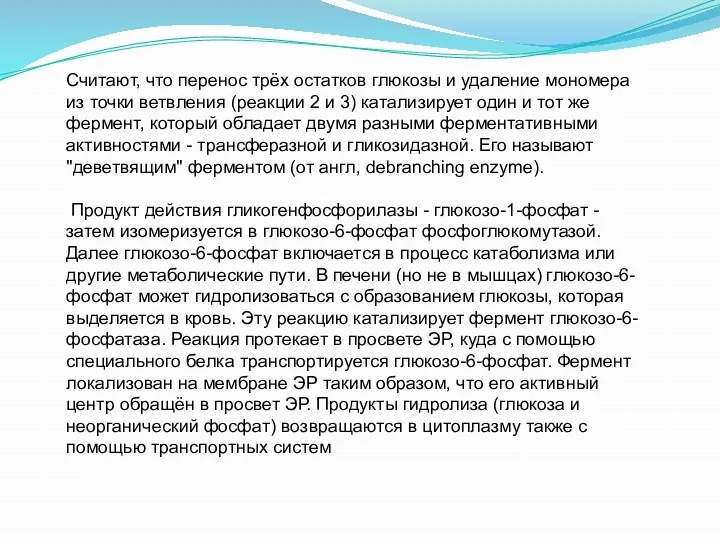 Считают, что перенос трёх остатков глюкозы и удаление мономера из