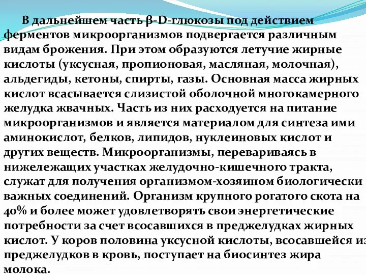 В дальнейшем часть β-D-глюкозы под действием ферментов микроорганизмов подвергается различным