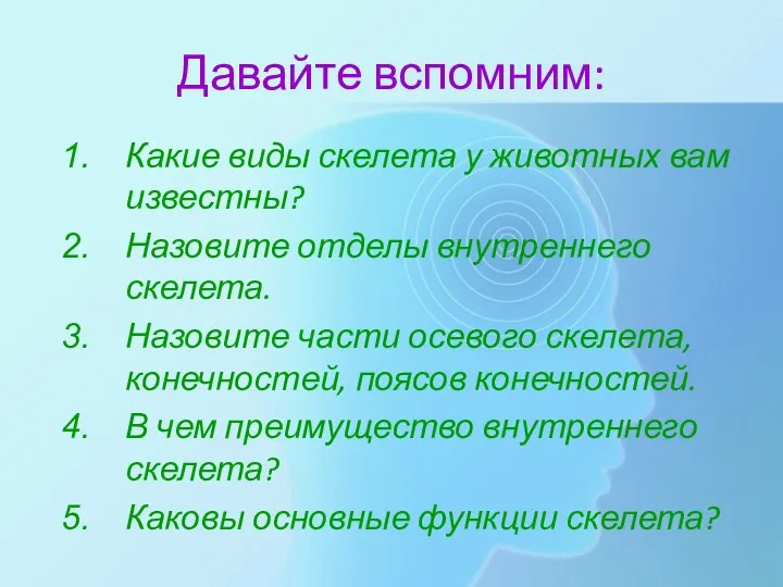 Давайте вспомним: Какие виды скелета у животных вам известны? Назовите