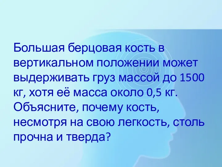 Большая берцовая кость в вертикальном положении может выдерживать груз массой