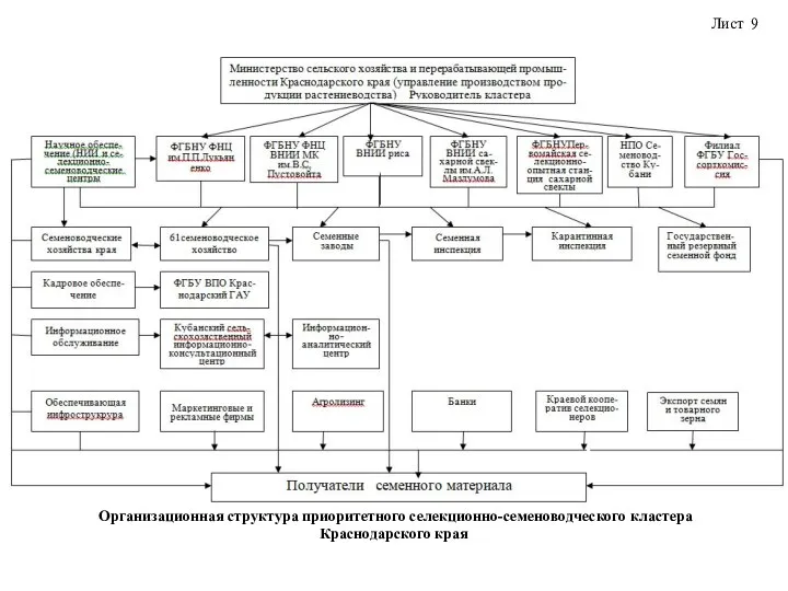 Лист 9 Организационная структура приоритетного селекционно-семеноводческого кластера Краснодарского края