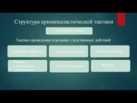 Структура криминалистической тактики Особенная часть Тактика проведения отдельных следственных действий